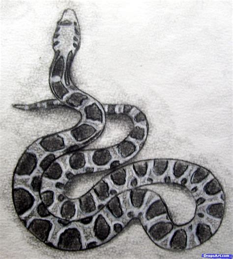 snake drawings